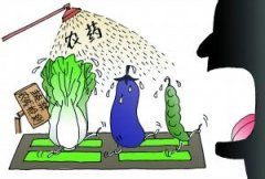 農藥殘留快速檢測儀保障農產品安全 農藥殘留快速檢測儀保障農產品安全