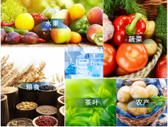 觸摸屏農藥殘留檢測儀哪個品牌好 觸摸屏農藥殘留檢測儀哪個品牌好